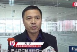 最新青岛爆料事件,揭秘事件背后真相