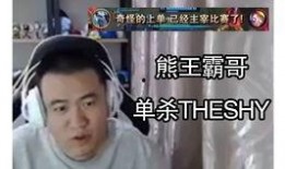 石头哥前妻爆料视频在线观看,揭秘婚姻内幕，情感纠葛引热议